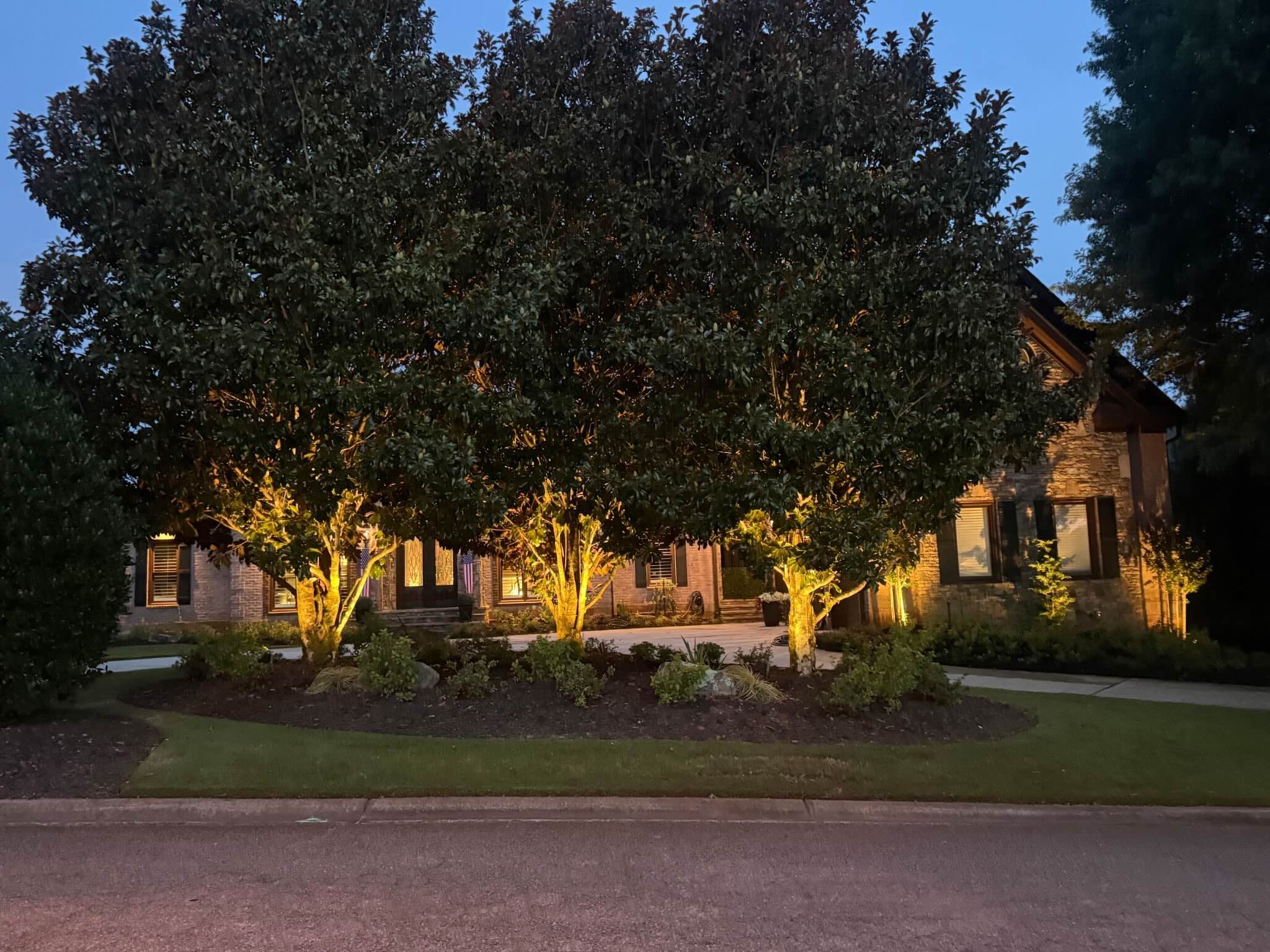 Mature magnolia trees dramatically uplit in warm light across an estate's front landscape at dusk